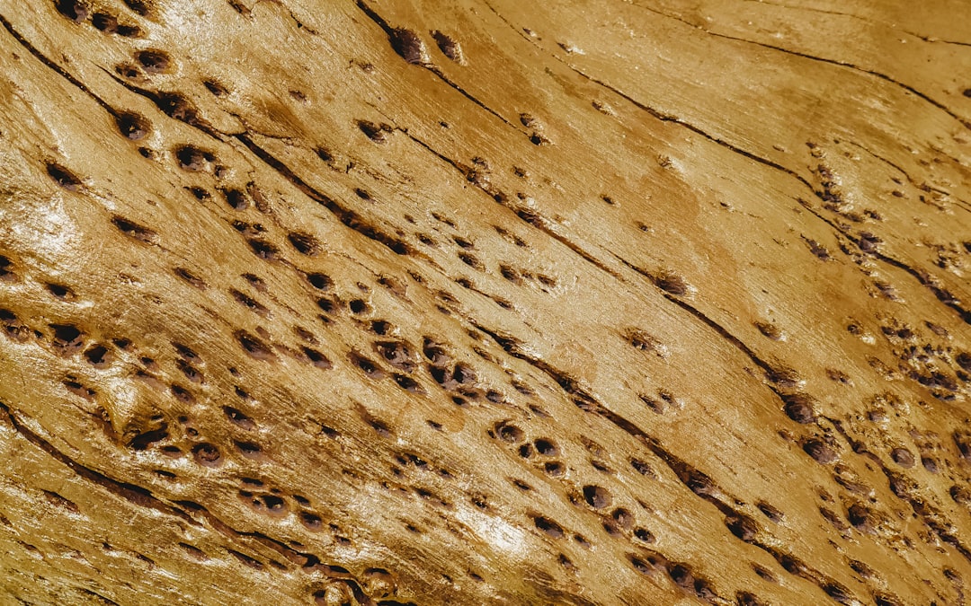 osteopati